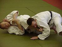 Aikido v České republice<br/>チェコ共和国の合気道