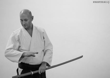 Interview – Georg Meindl – Aikido und das europäische Langschwert. Teil 1