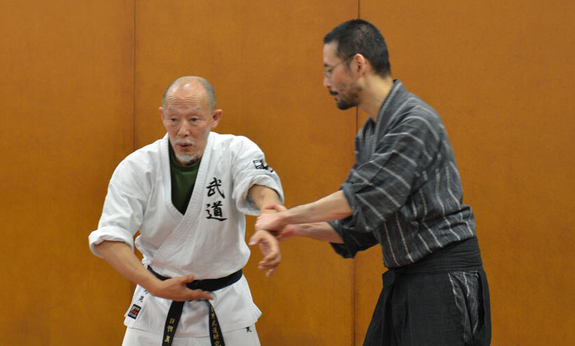 Entretien – Akira Hino Senseï