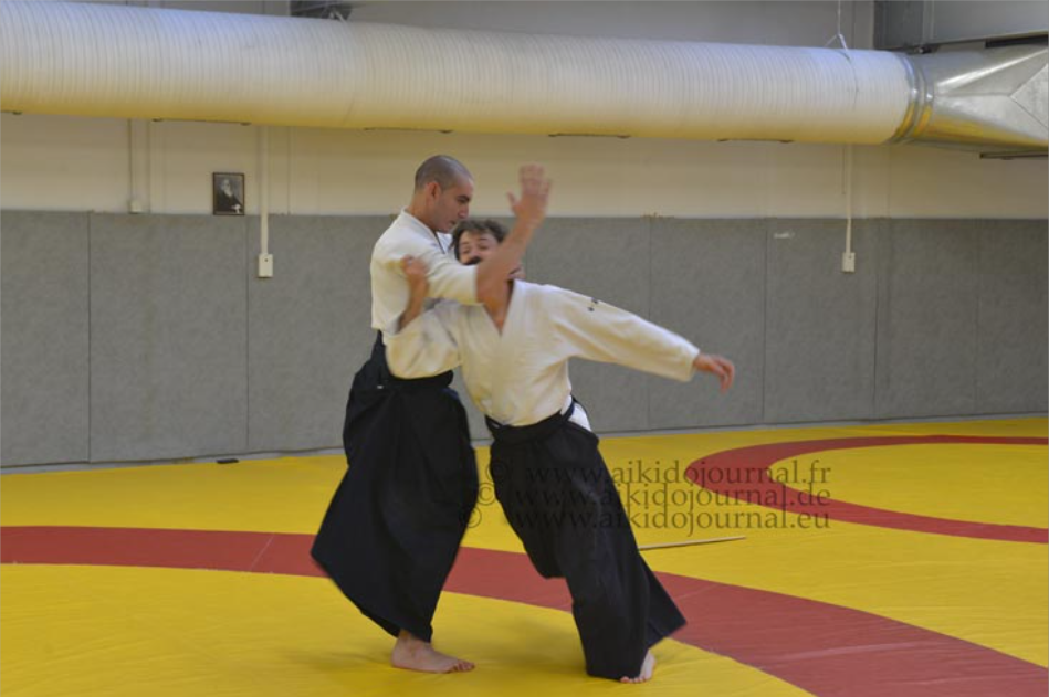 Farouk Benouali - 2013