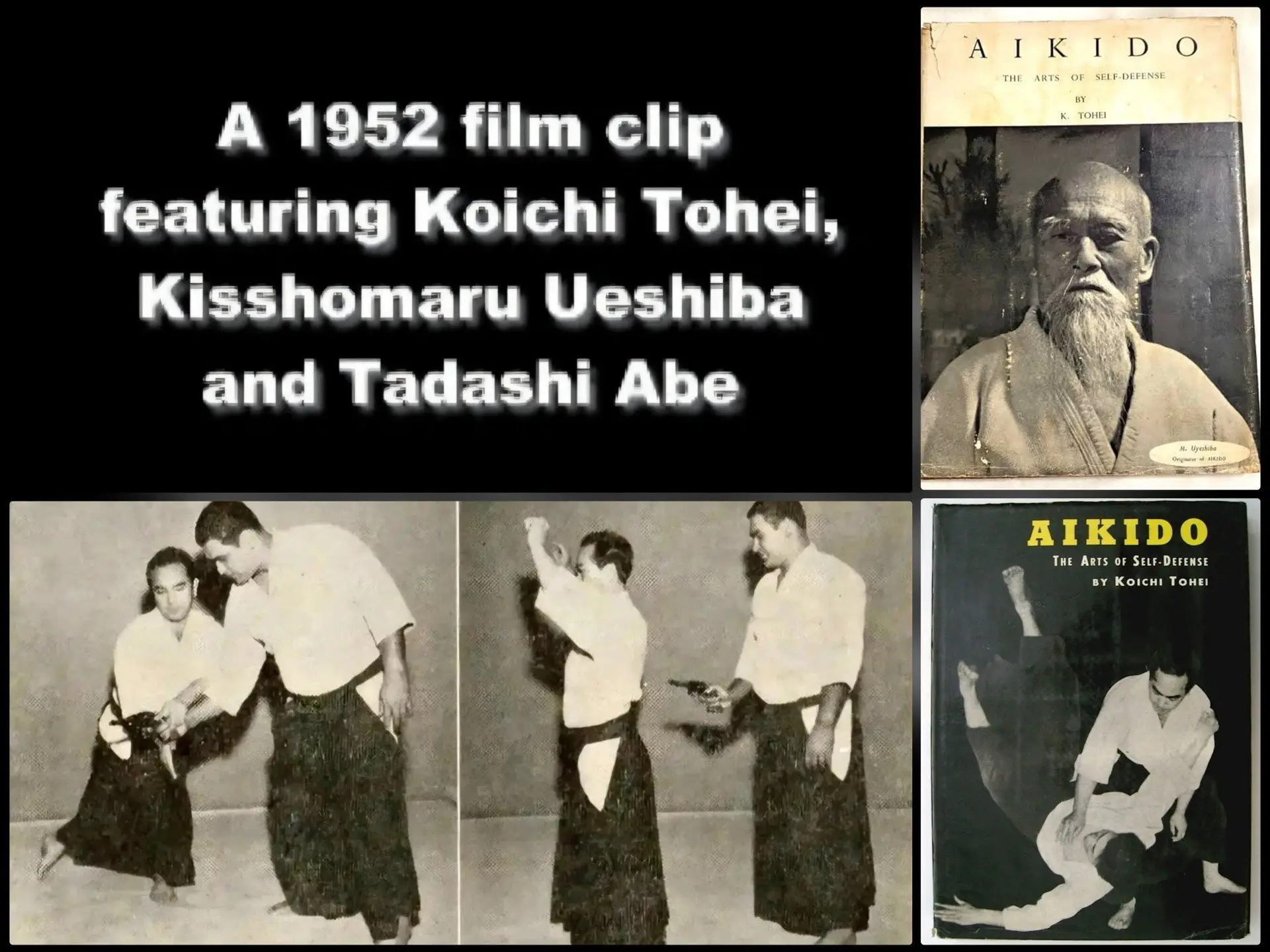 Aikido and self-defense by Aikido Sangenkai